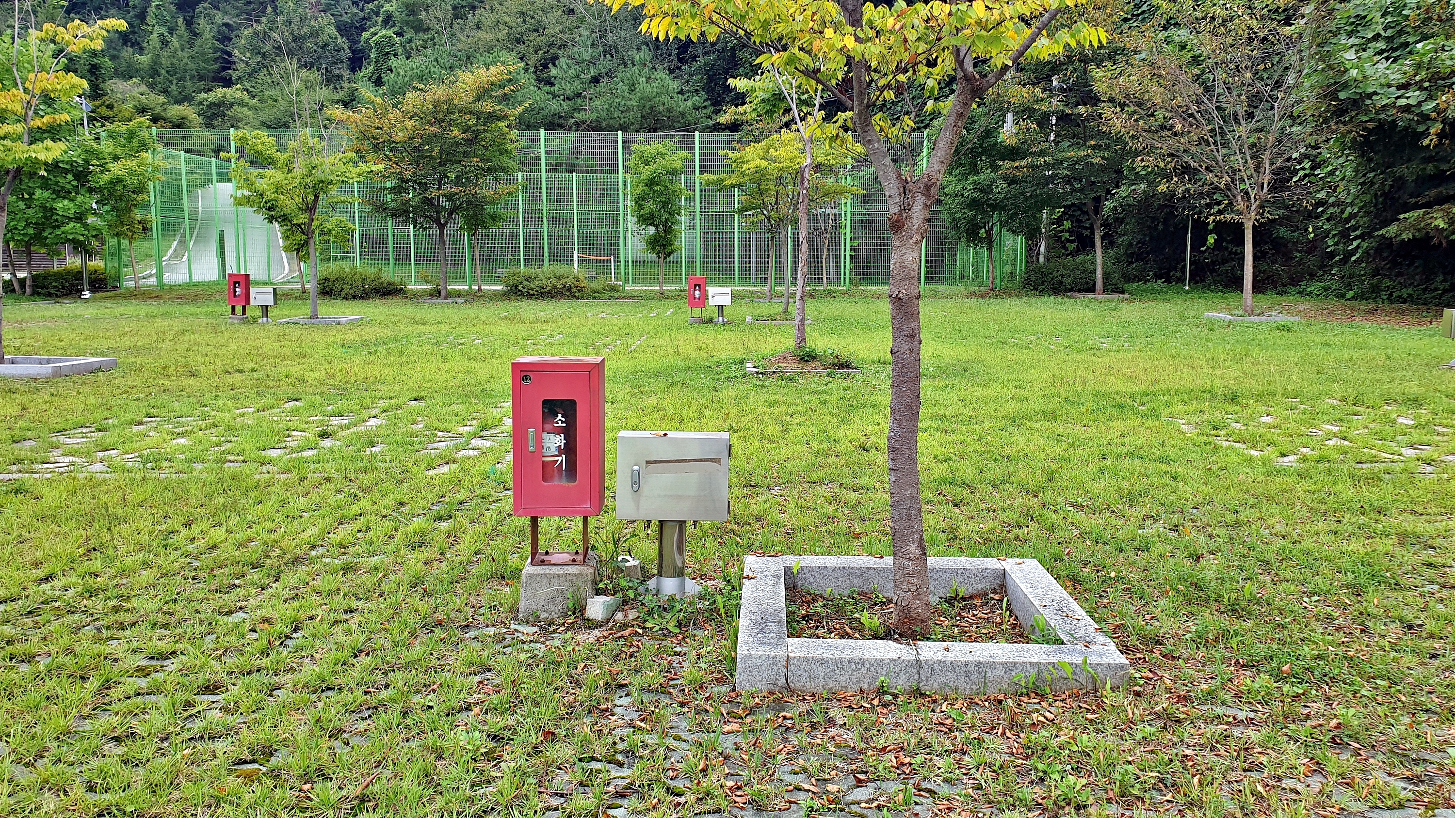 맑은숲캠프 26번째 이미지