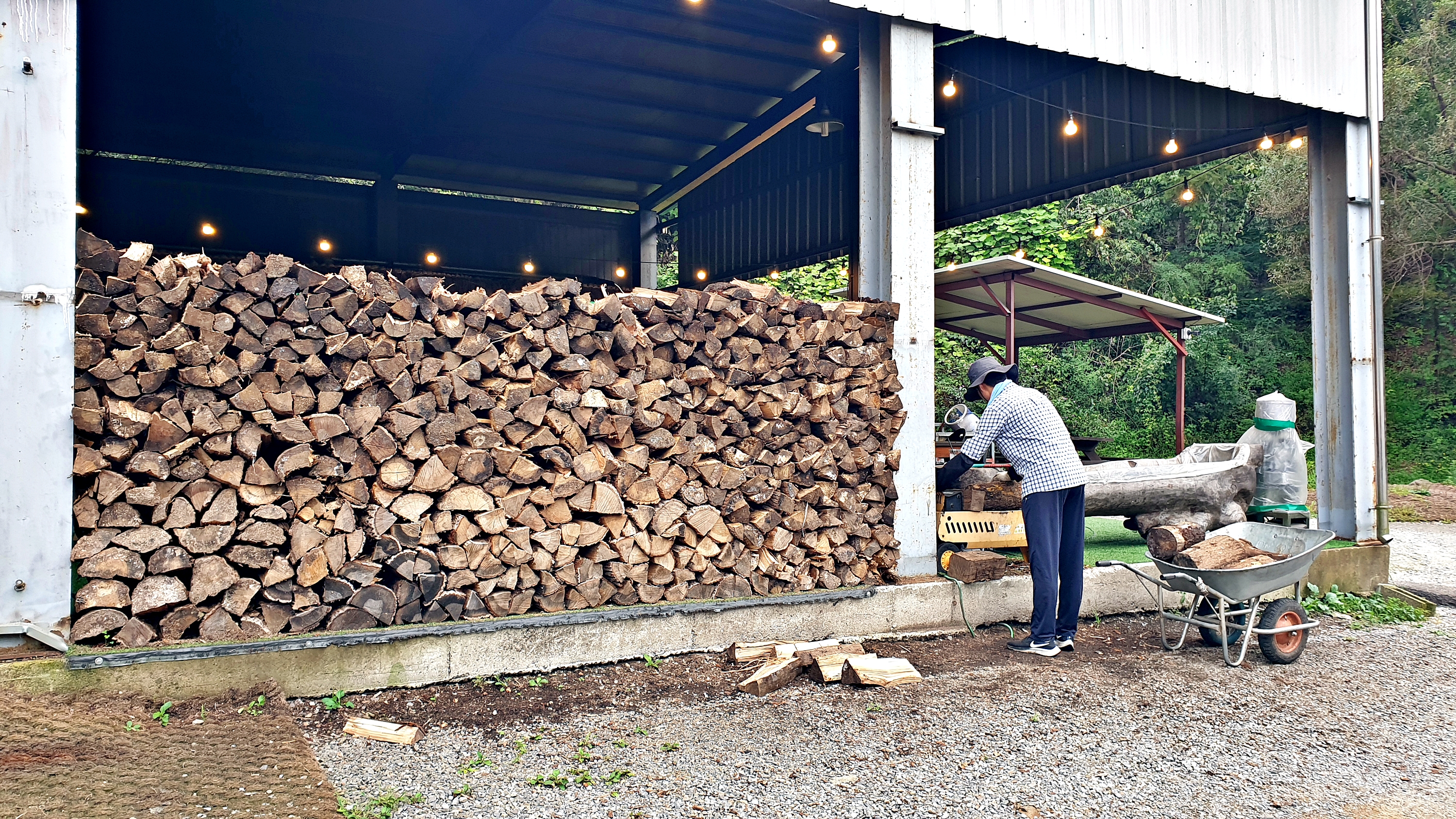 맑은숲캠프 20번째 이미지