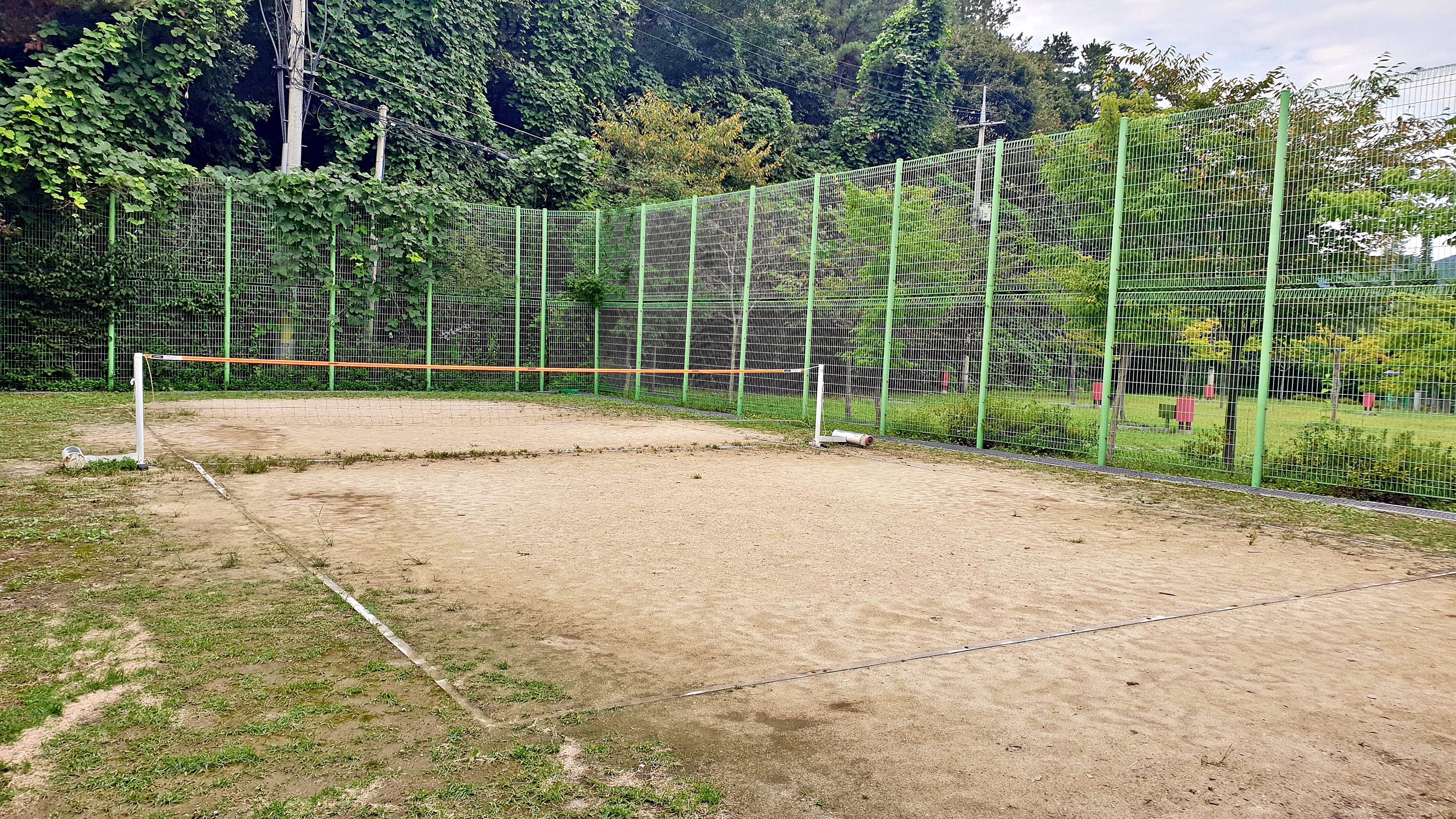 맑은숲캠프 6번째 이미지