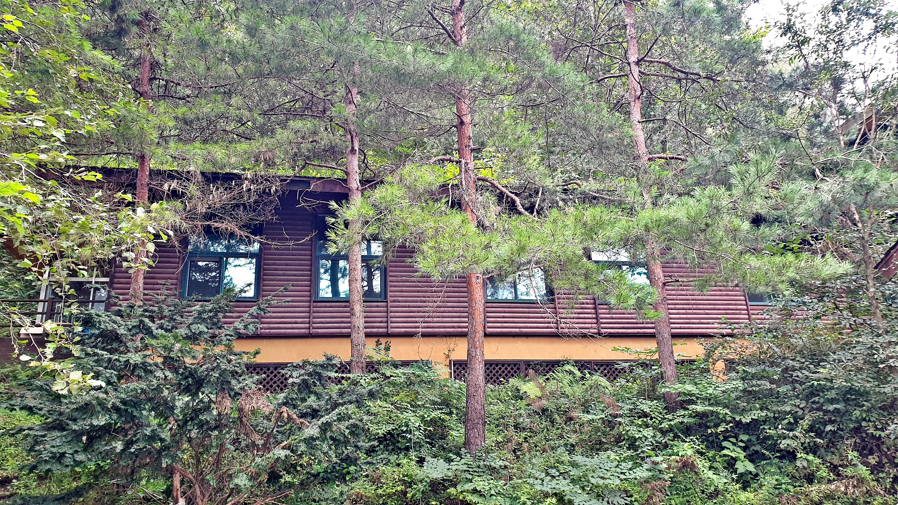 맑은숲캠프 30번째 이미지