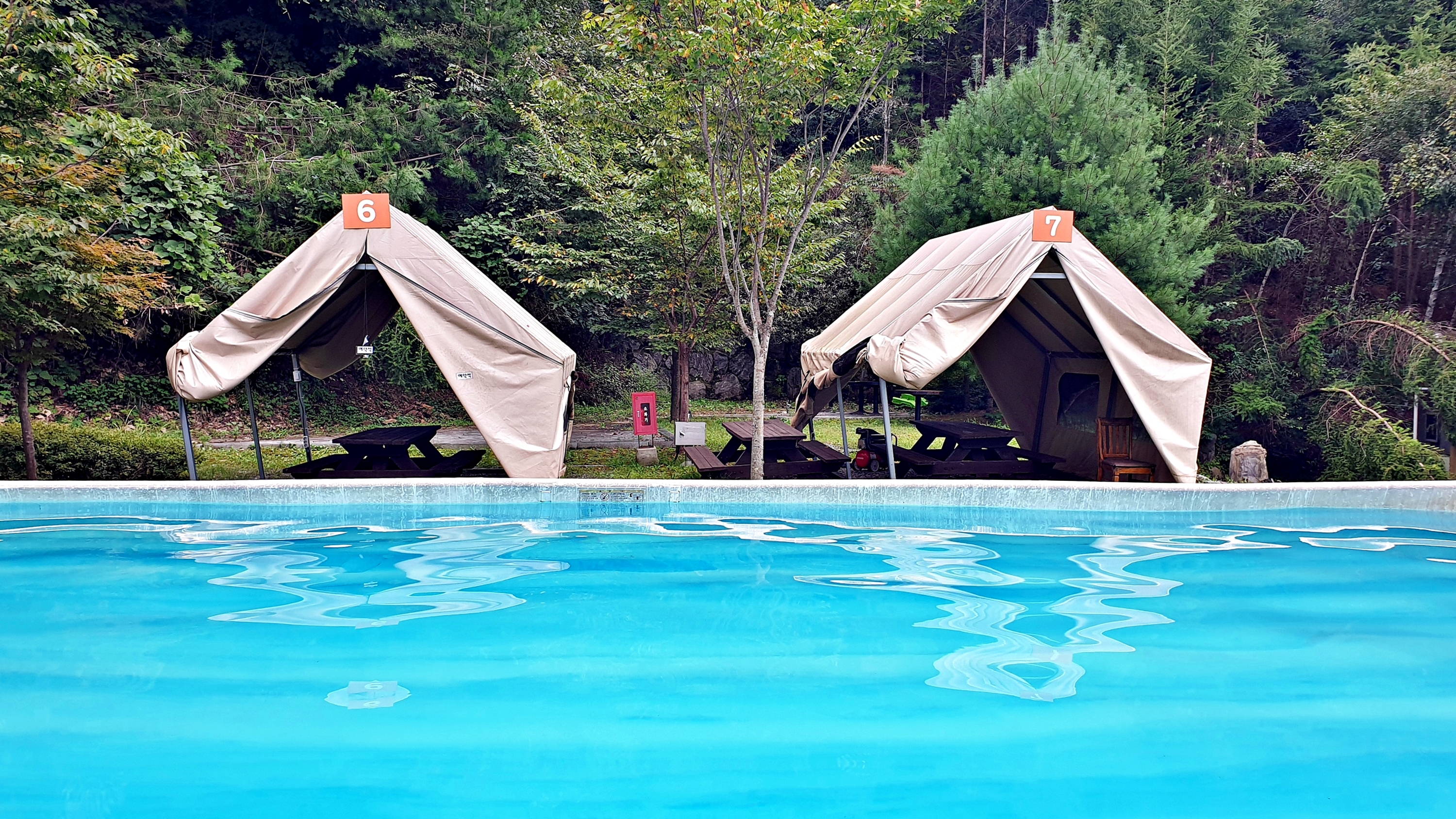 맑은숲캠프 37번째 이미지