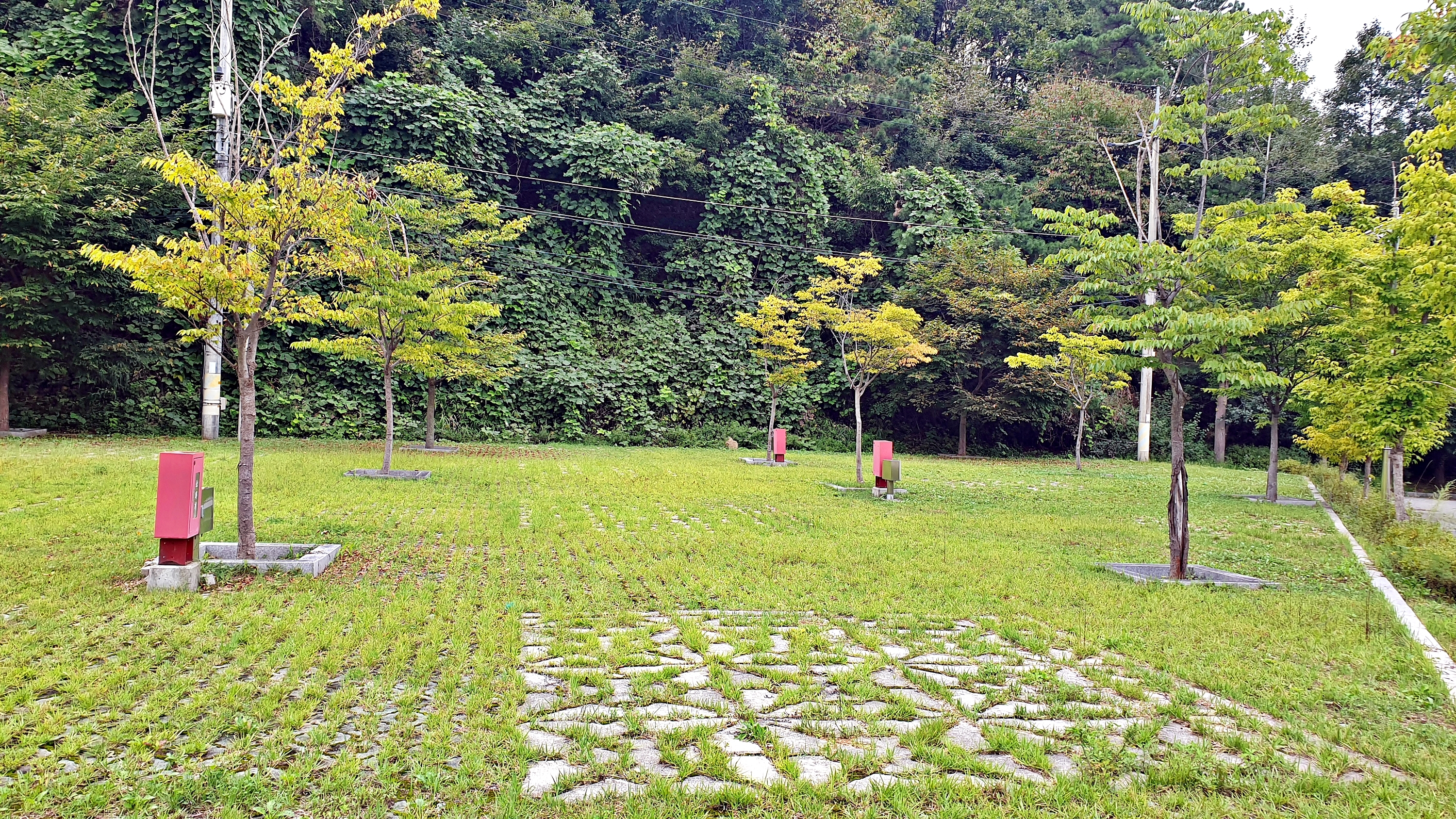 맑은숲캠프 27번째 이미지