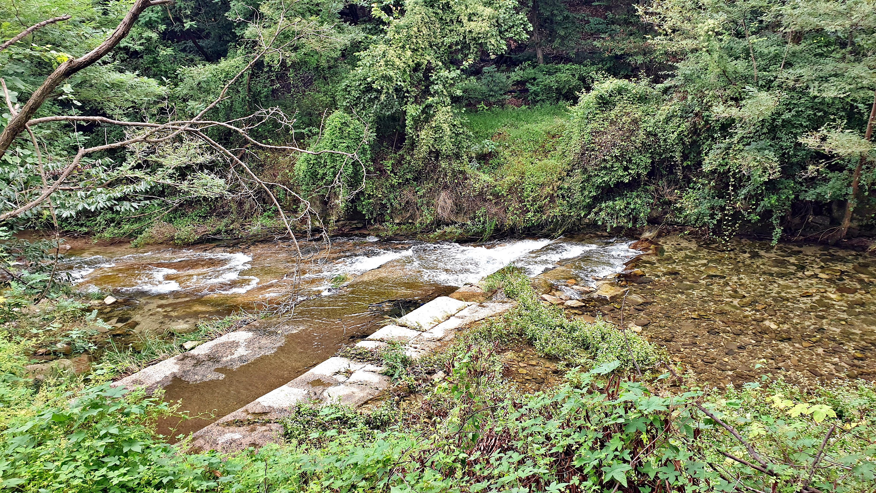 계룡산글램핑 동월숲 20번째 이미지
