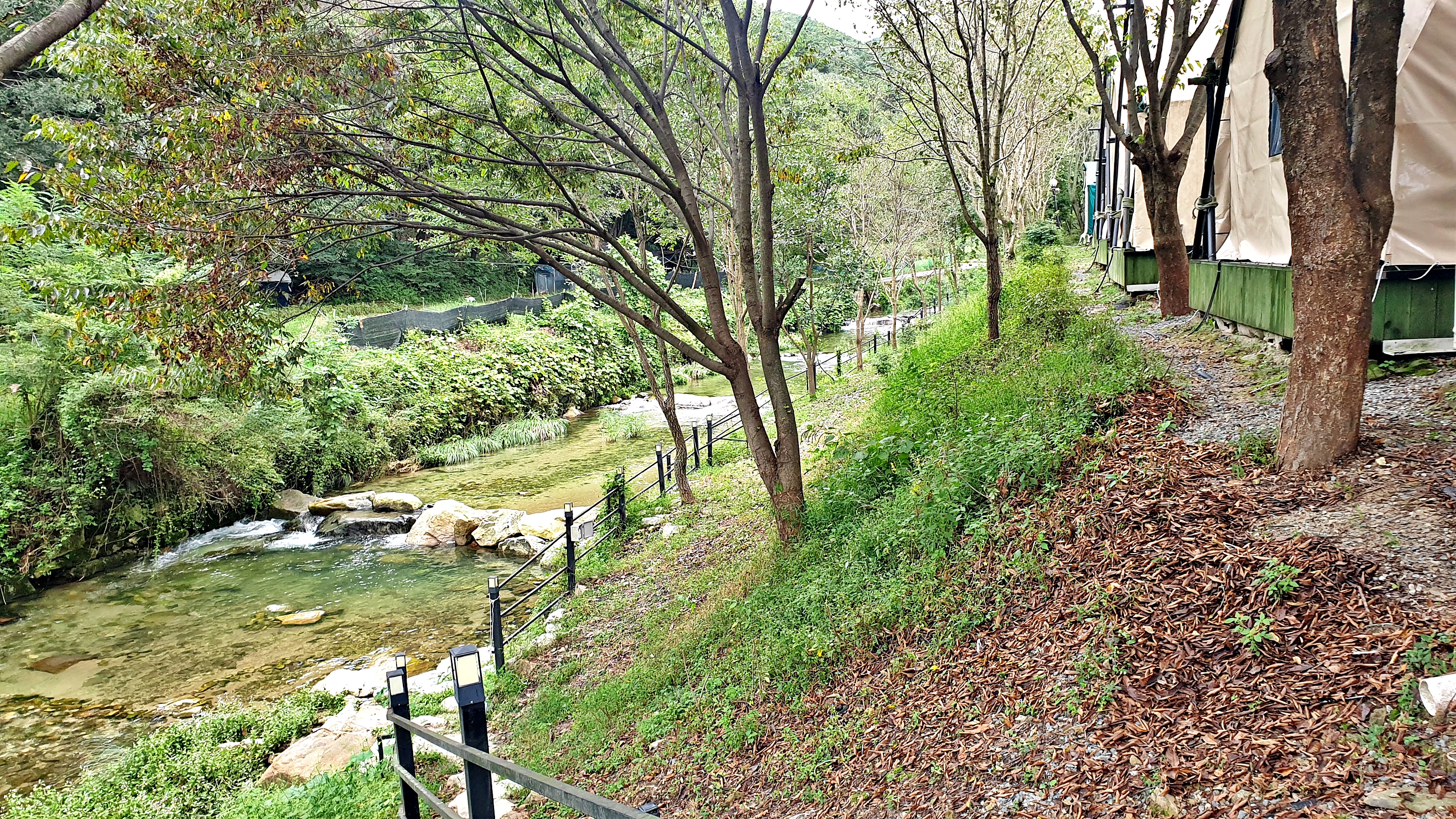 계룡산글램핑 동월숲 19번째 이미지