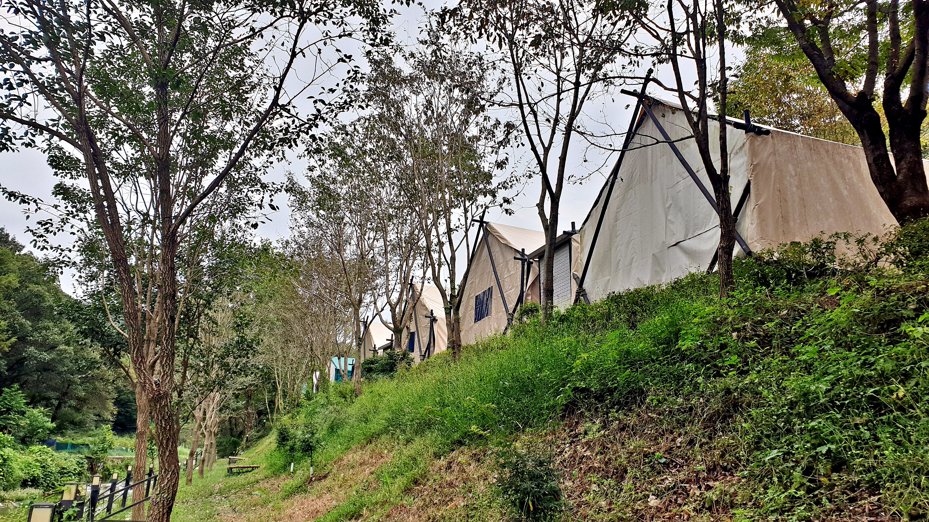 계룡산글램핑 동월숲 32번째 이미지