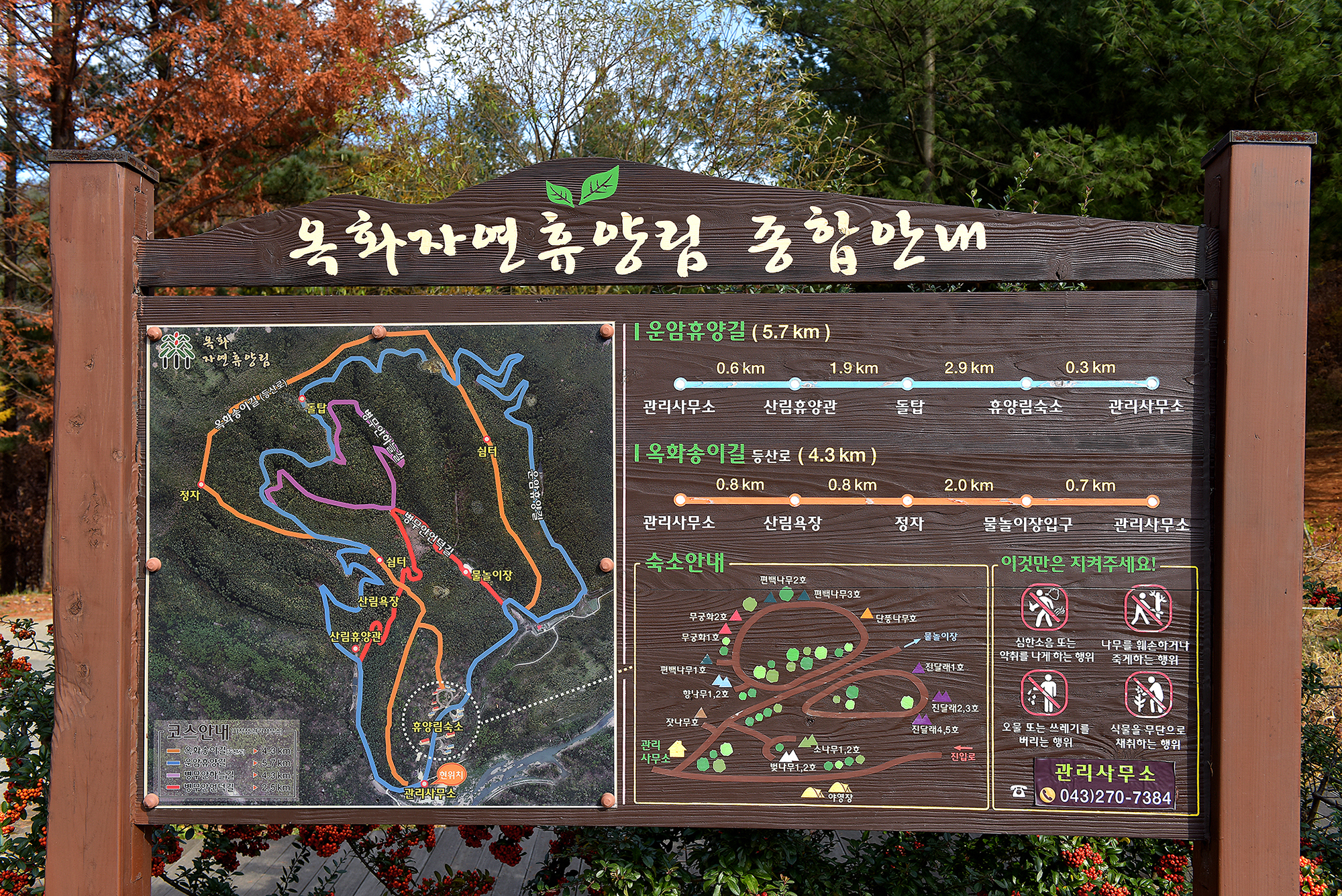 옥화 자연휴양림 국민여가캠핑장 이미지