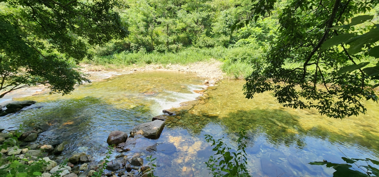 요기는캠핑장 41번째 이미지