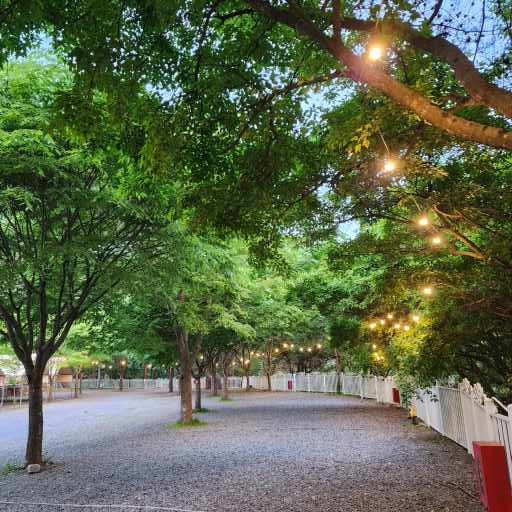 요기는캠핑장 28번째 이미지