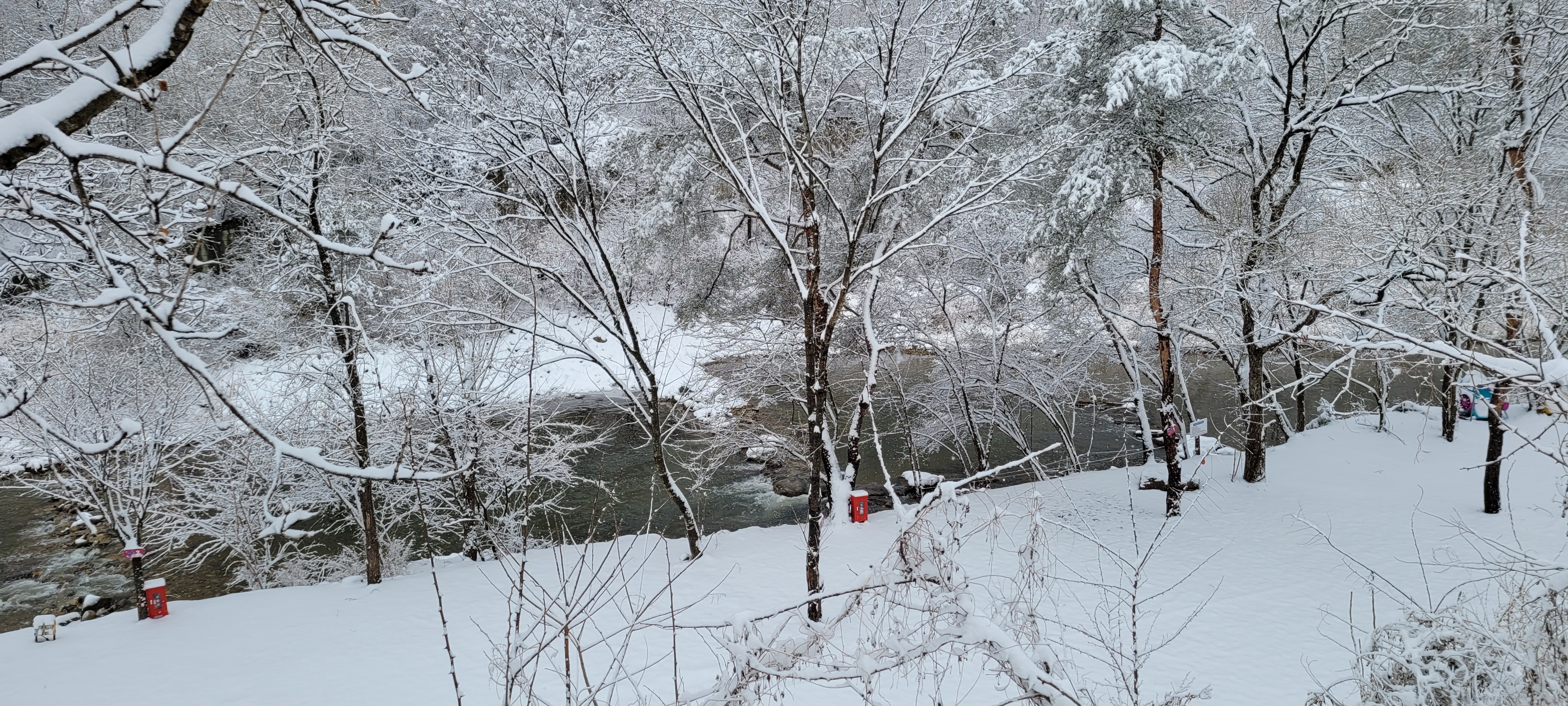 요기는캠핑장 39번째 이미지