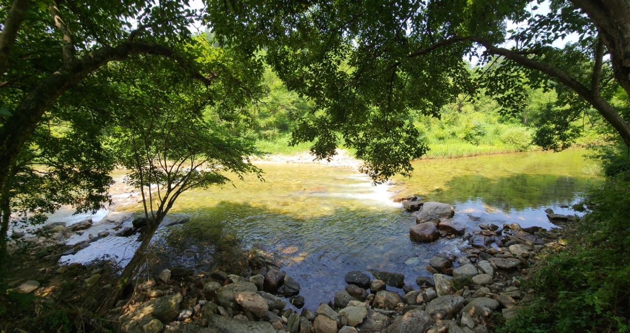 요기는캠핑장 42번째 이미지