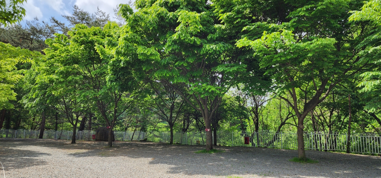 요기는캠핑장 30번째 이미지