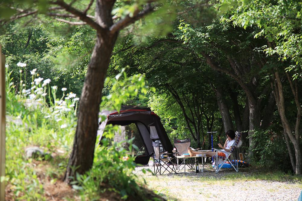 용골송어와 캠핑