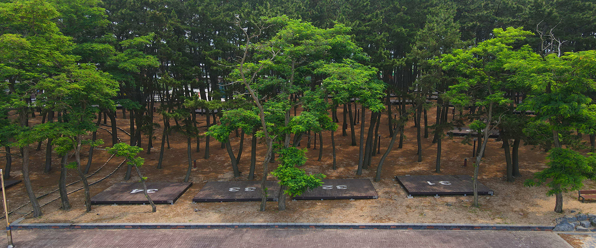 용두해수욕장 숲속야영장 12번째 이미지
