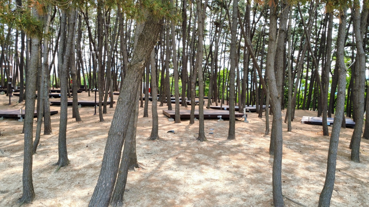 용두해수욕장 숲속야영장 14번째 이미지