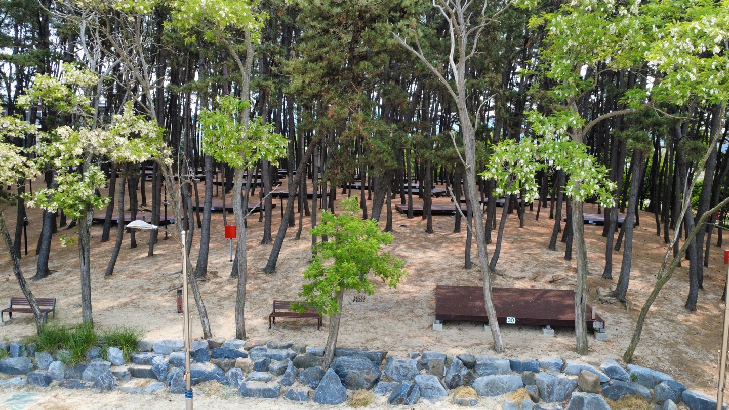 용두해수욕장 숲속야영장 7번째 이미지