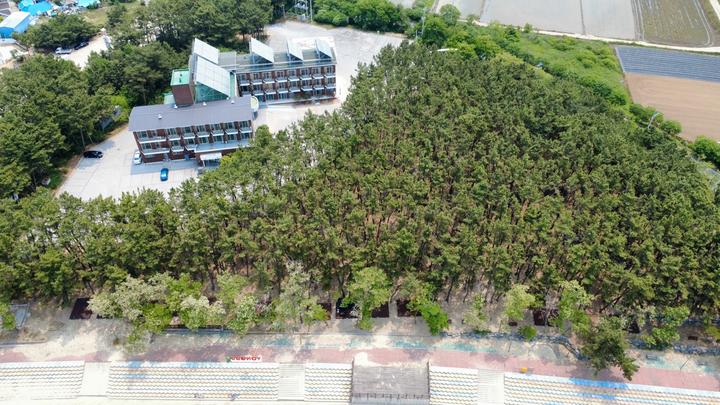 용두해수욕장 숲속야영장 대표 이미지