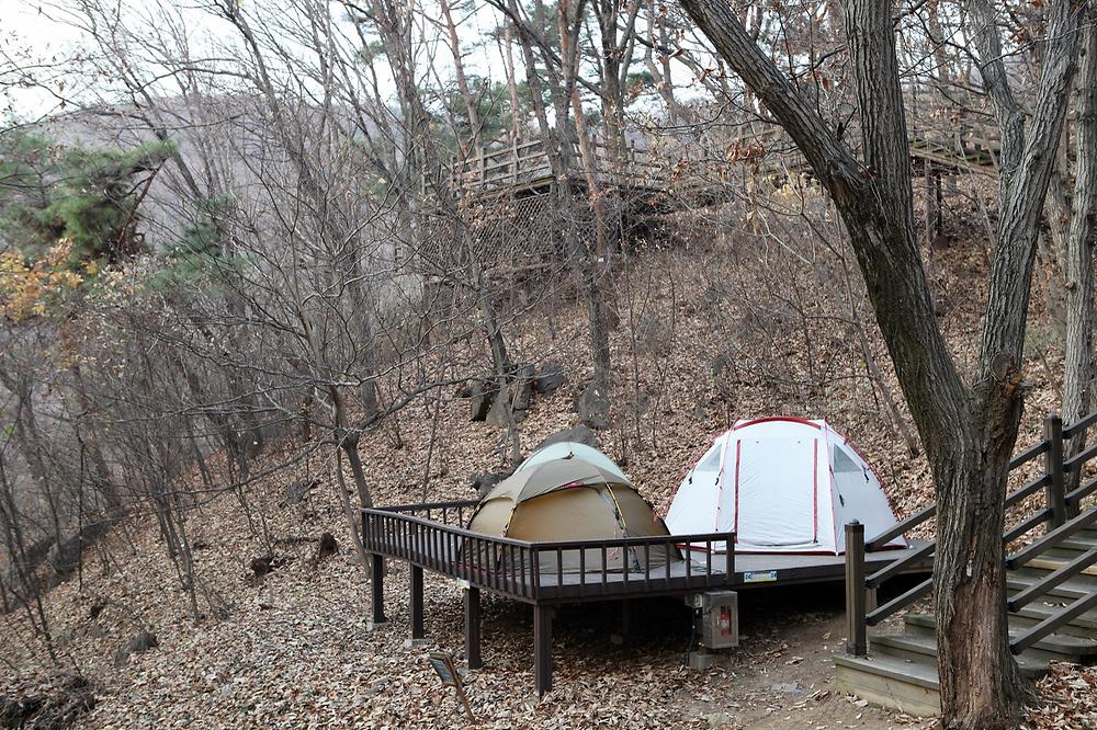 용인 자연휴양림 야영장