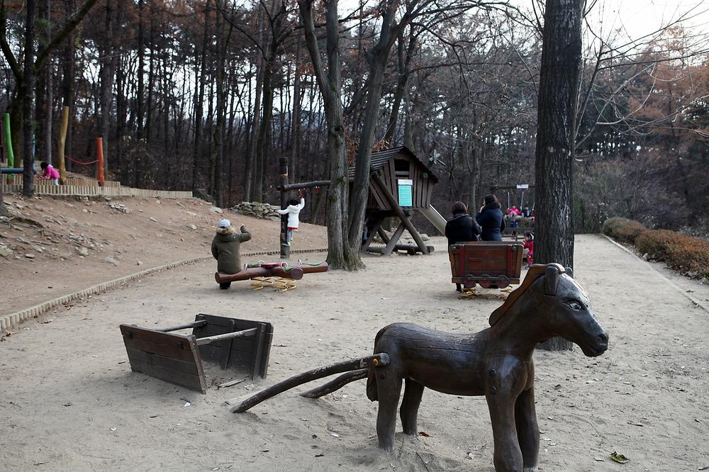 용인 자연휴양림 야영장