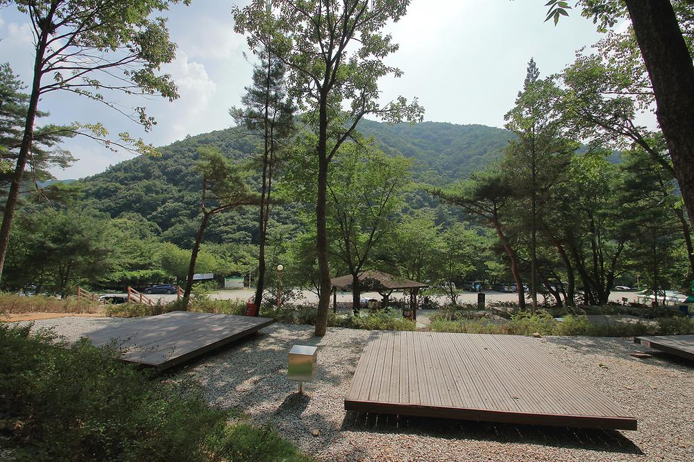 용현 자연휴양림 야영장