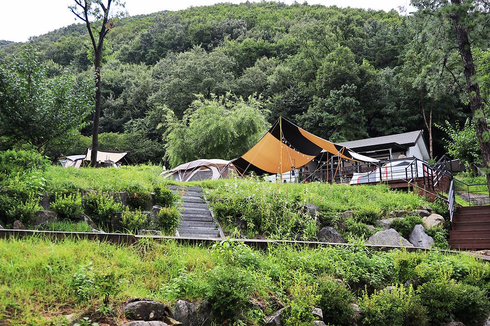 용인 자연숲 캠핑장