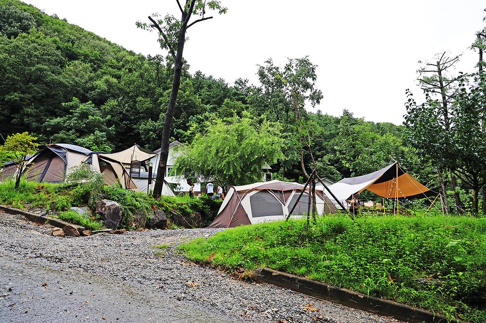 용인 자연숲 캠핑장