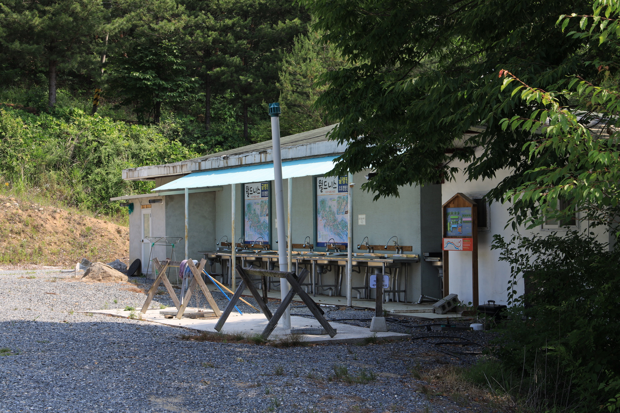 월드니스 이미지