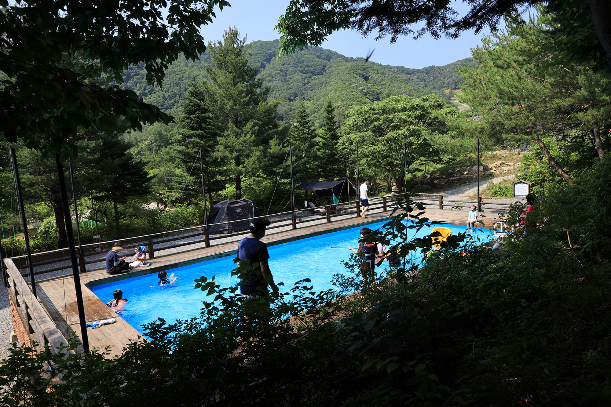 월드니스 이미지