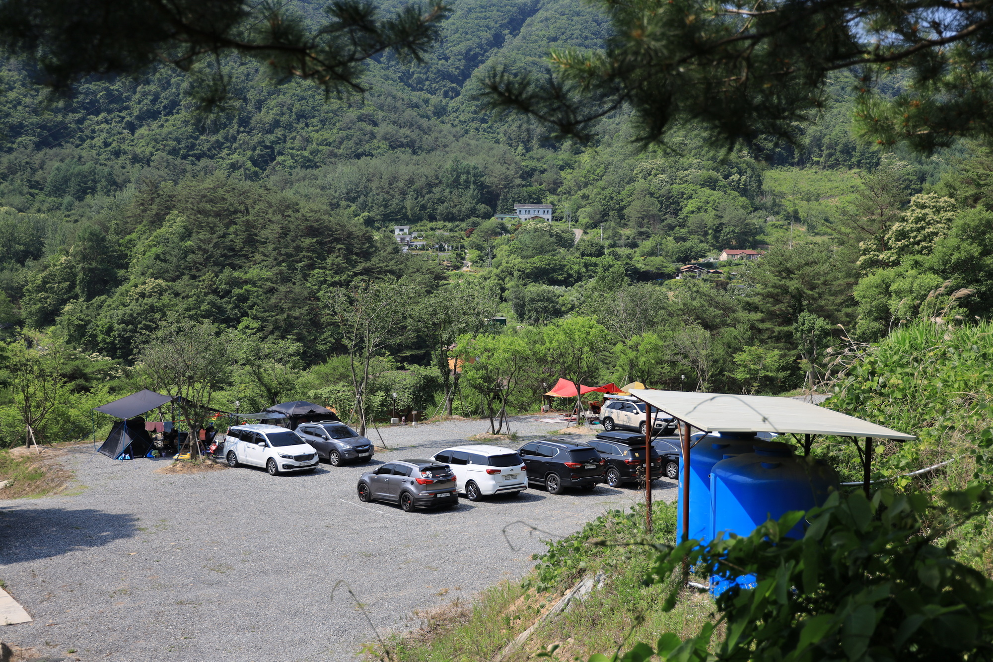 월드니스 이미지