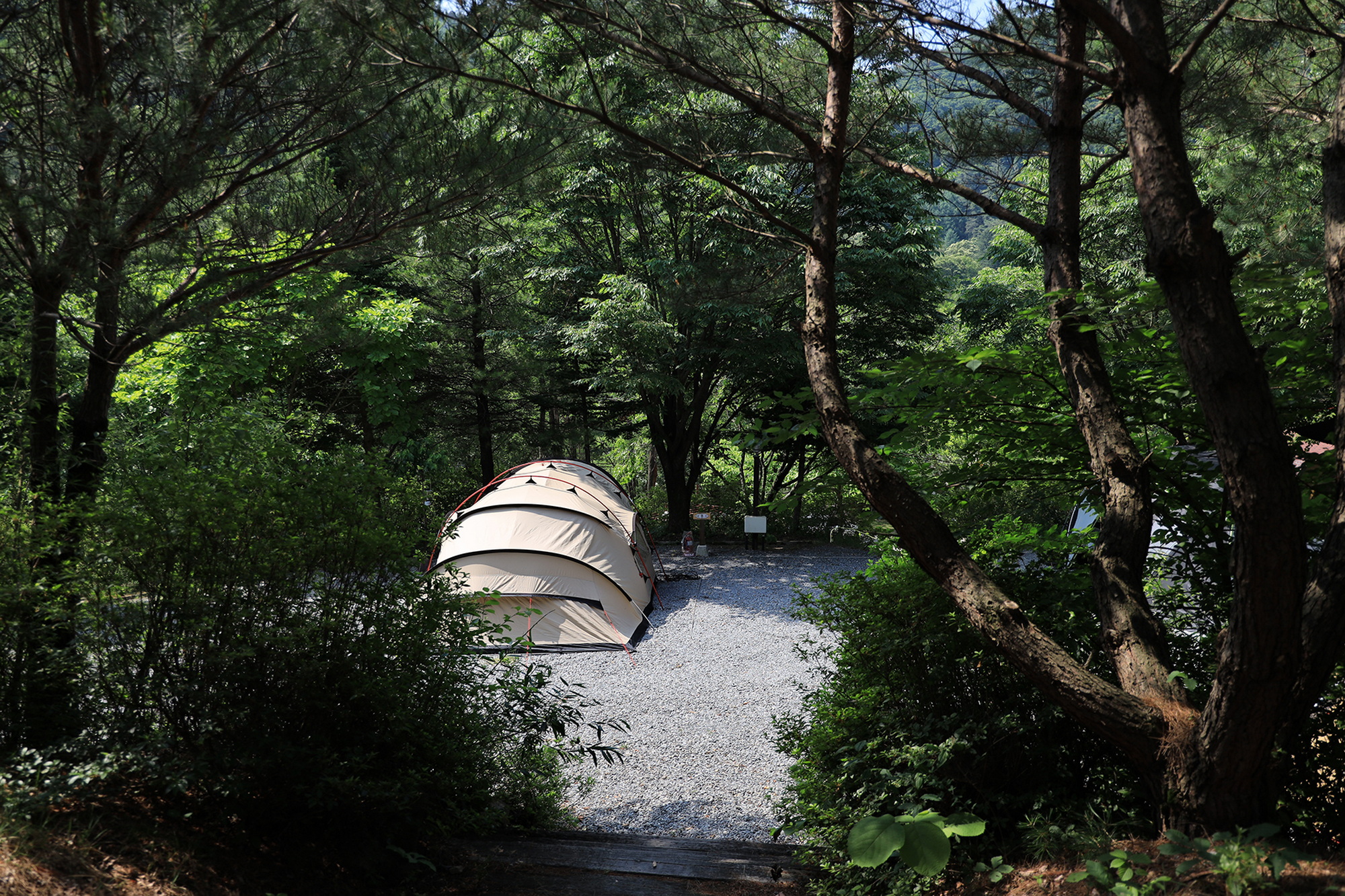 월드니스 이미지