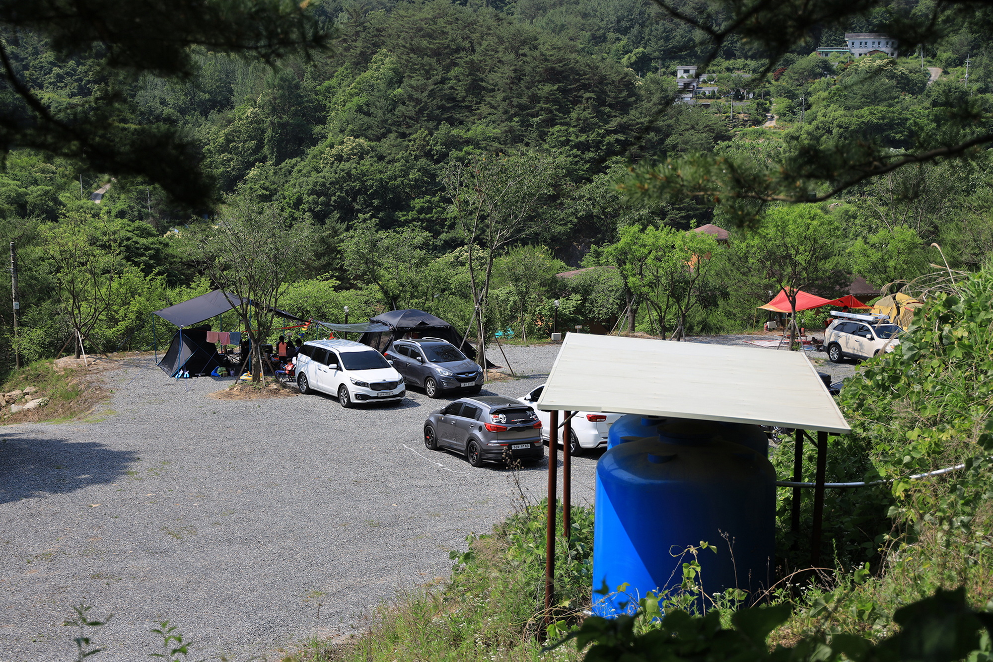 월드니스 이미지