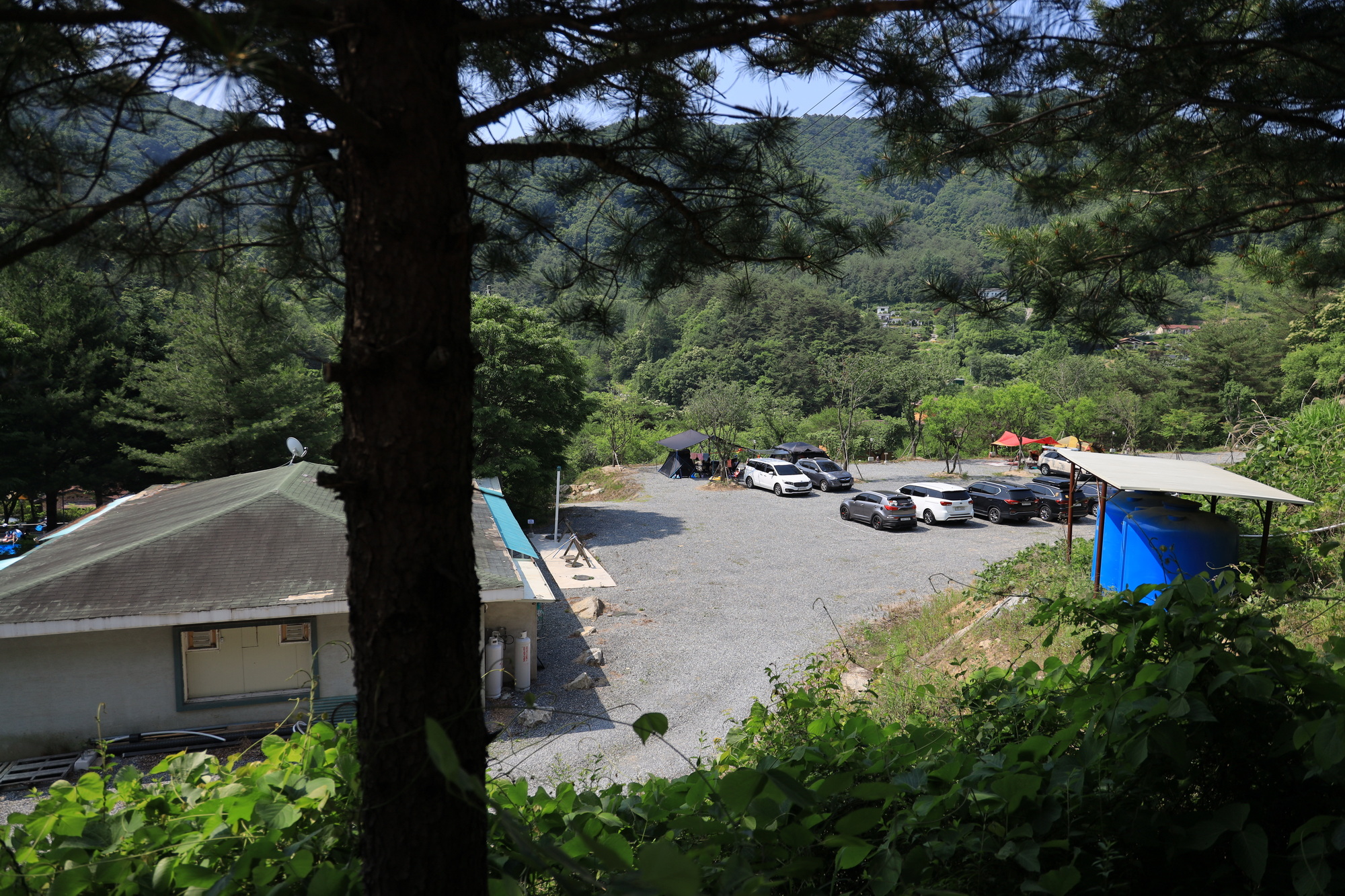 월드니스 이미지