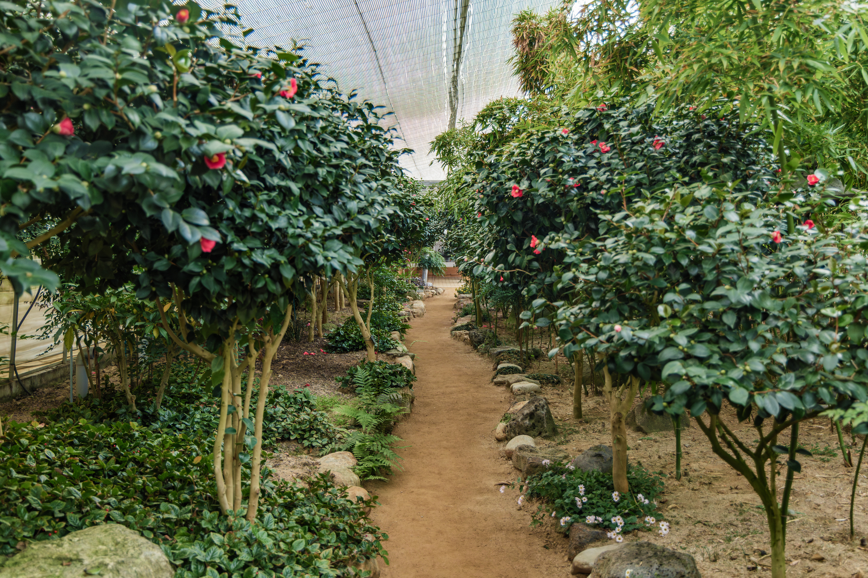 자라섬 캠핑장 7번째 이미지