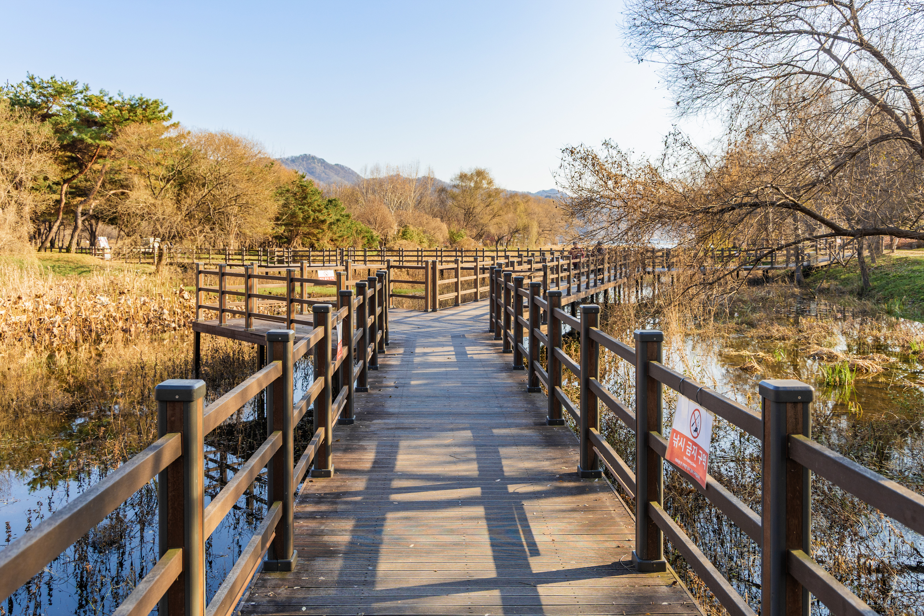 자라섬 캠핑장 19번째 이미지