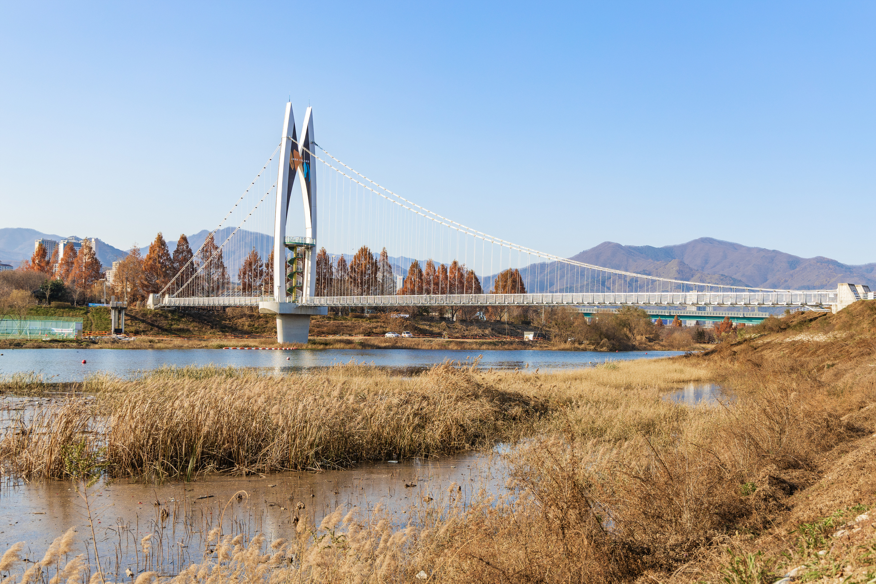 자라섬 캠핑장 24번째 이미지