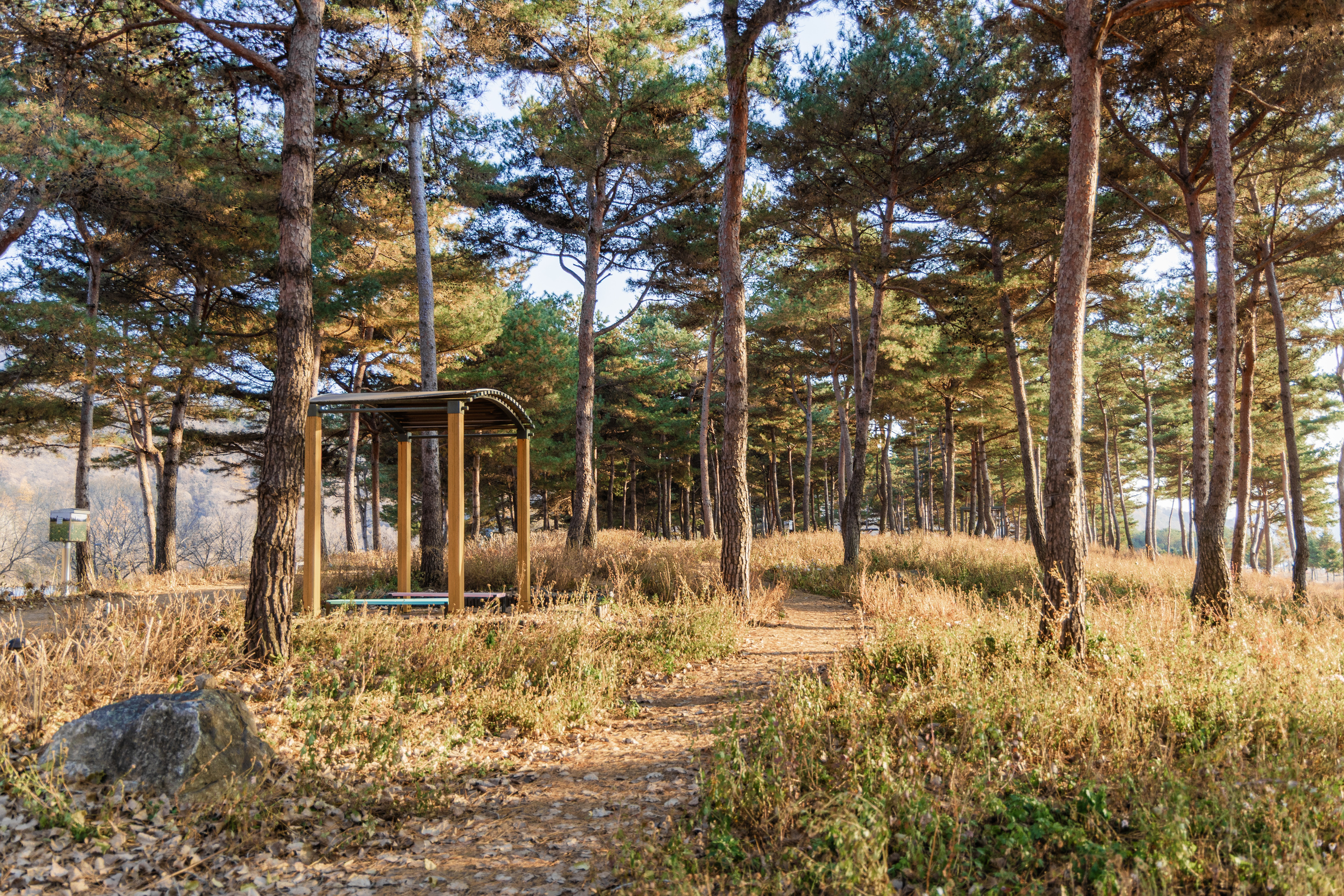 자라섬 캠핑장 12번째 이미지