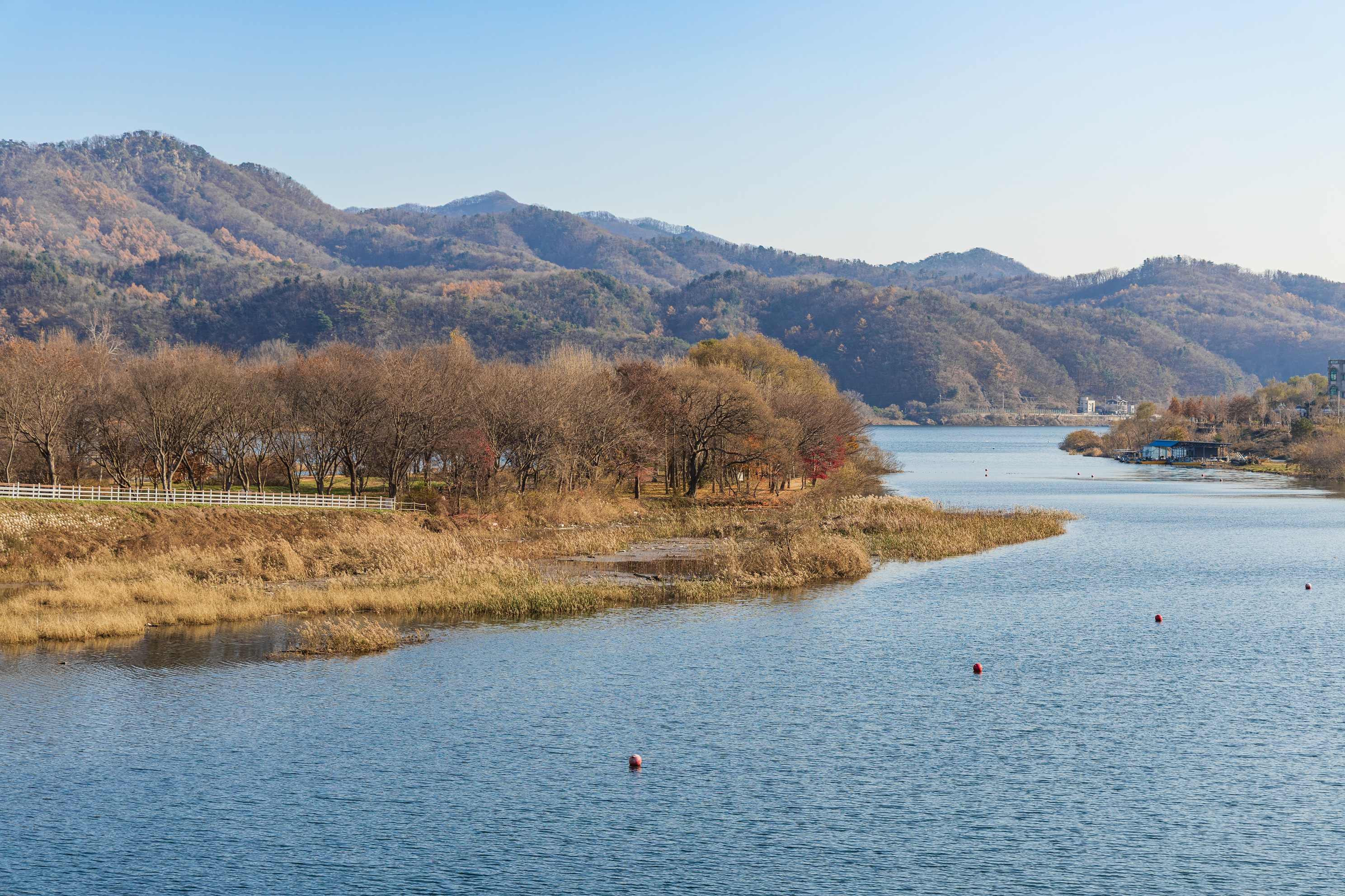 자라섬 캠핑장 28번째 이미지
