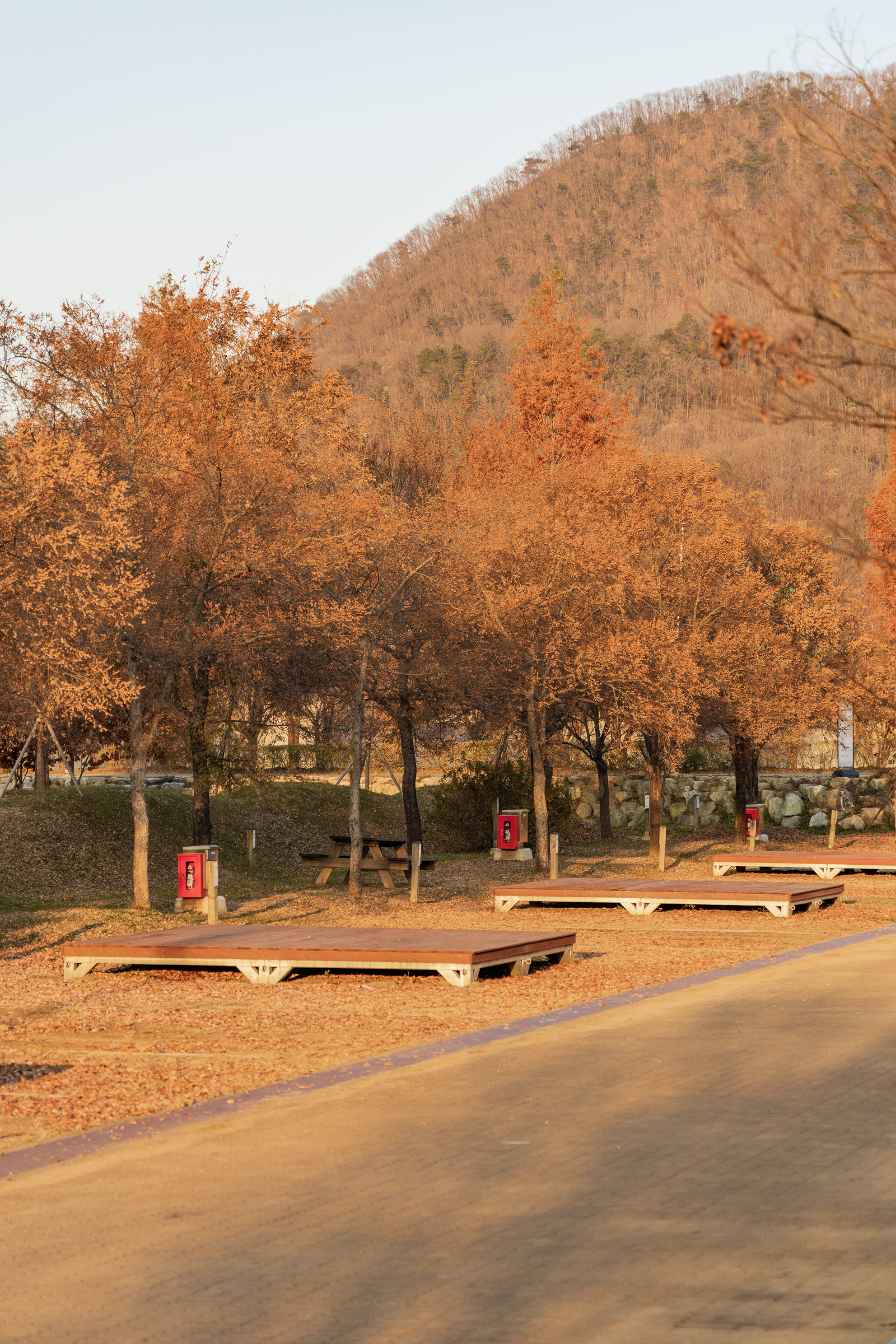 자라섬 캠핑장 53번째 이미지