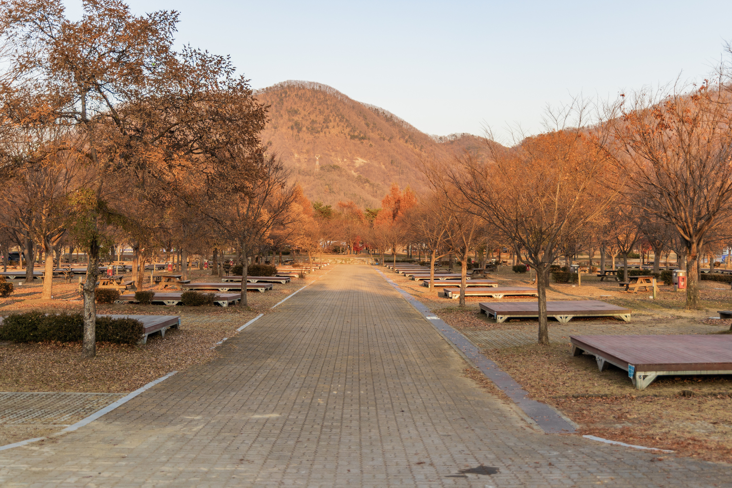 자라섬 캠핑장 67번째 이미지