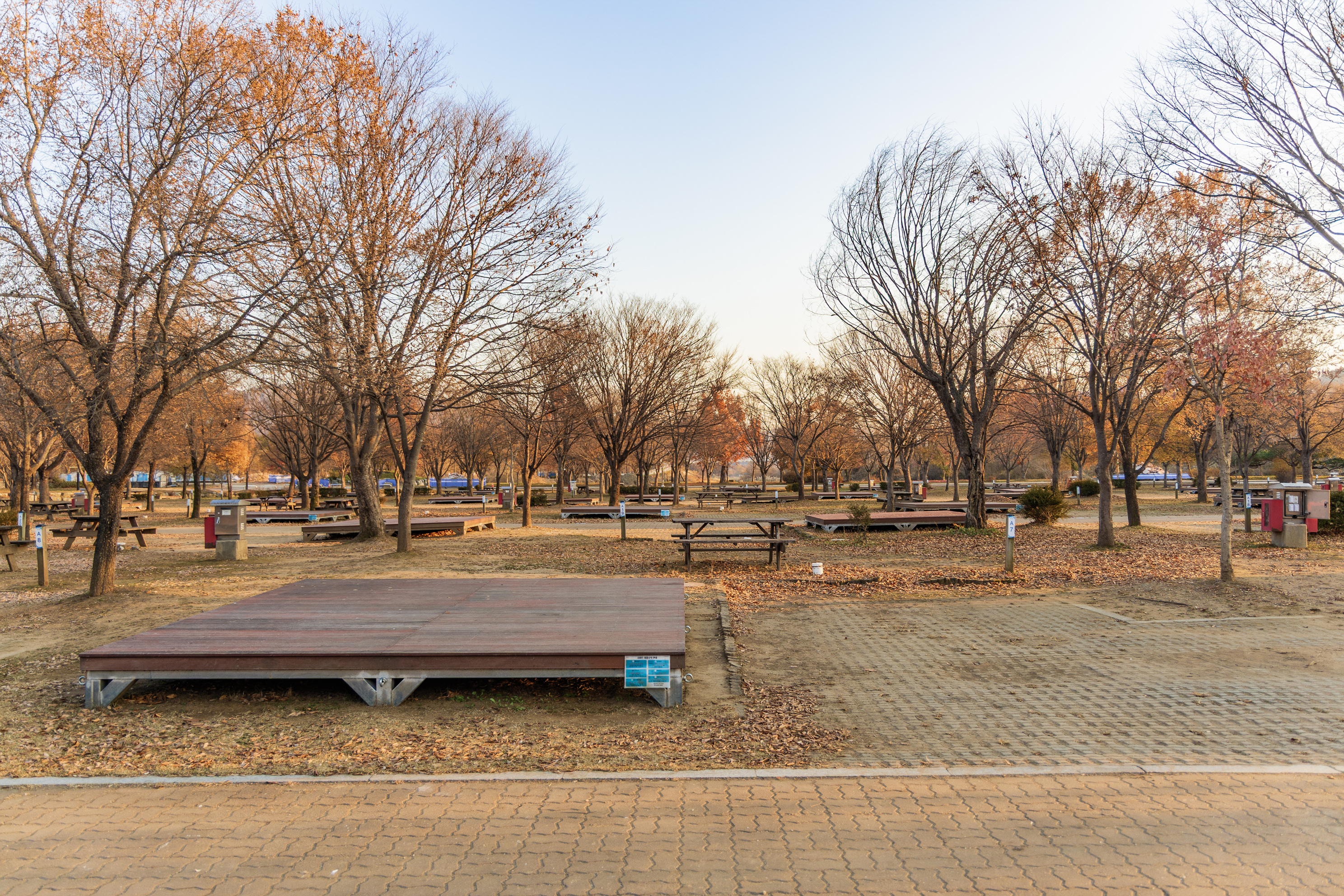 자라섬 캠핑장 55번째 이미지