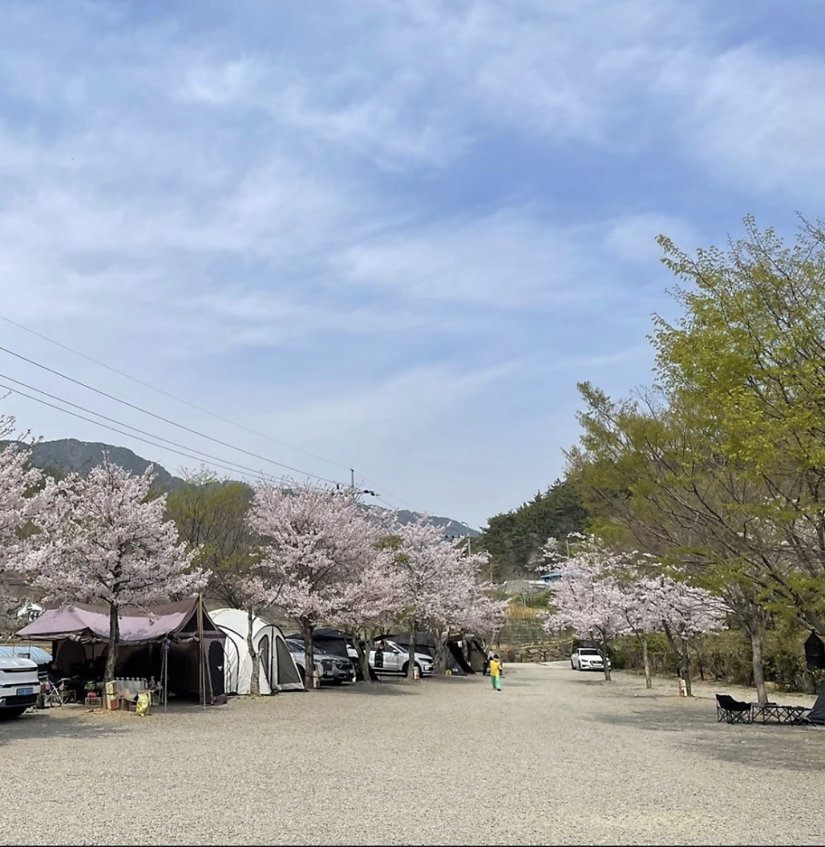 고성 장좌리 캠핑장 20번째 이미지