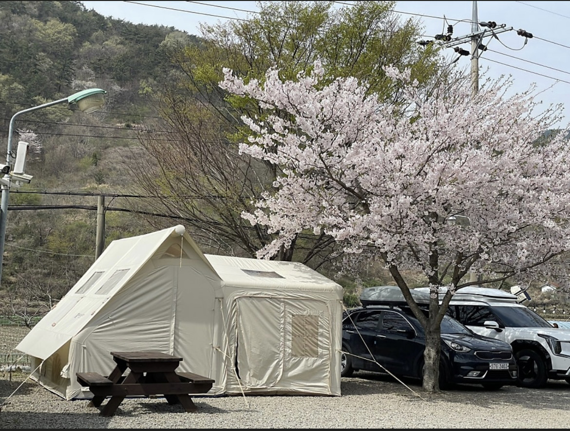 고성 장좌리 캠핑장 22번째 이미지