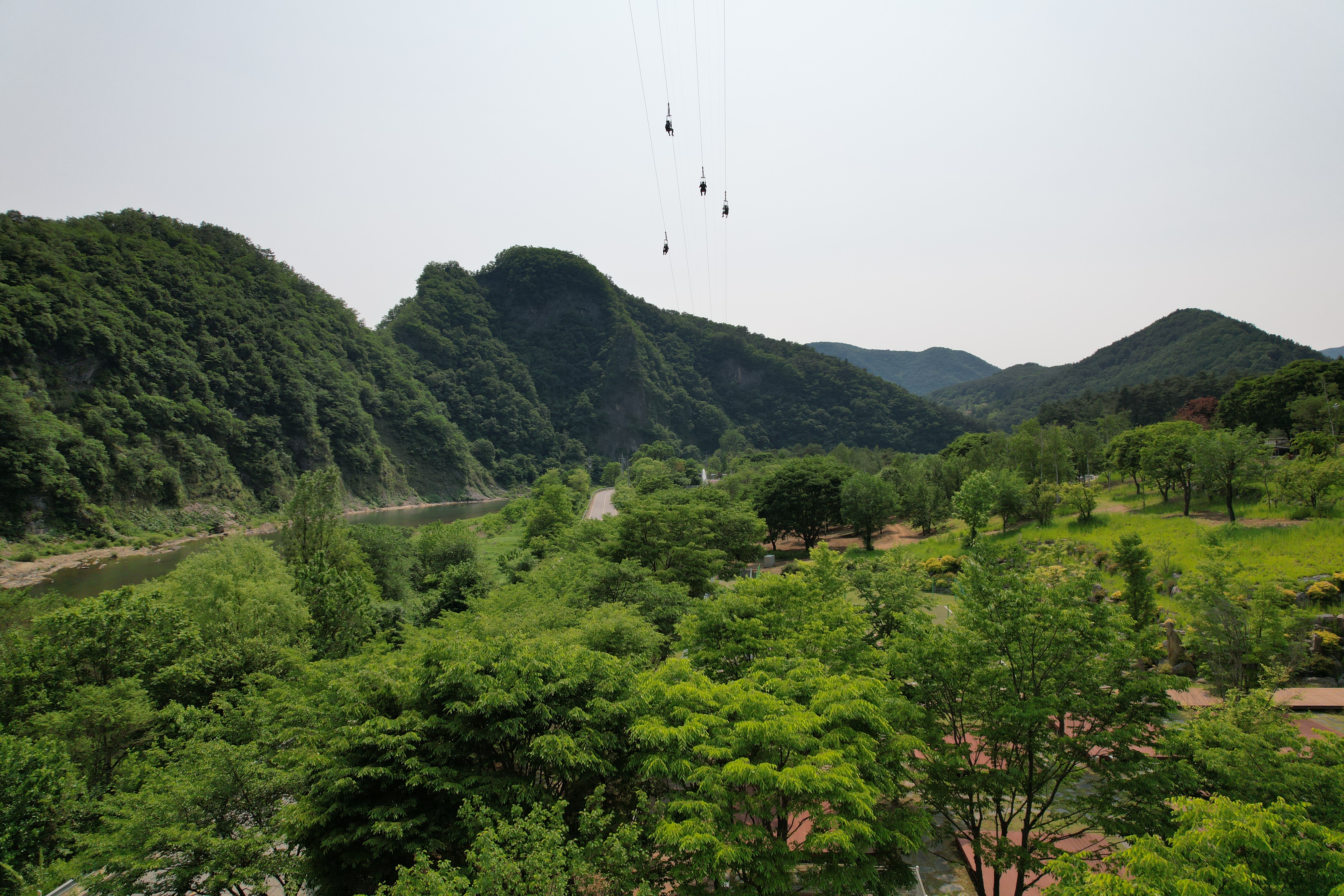 정선군생태체험학습장야영장 펫 동반 캠핑장 이미지