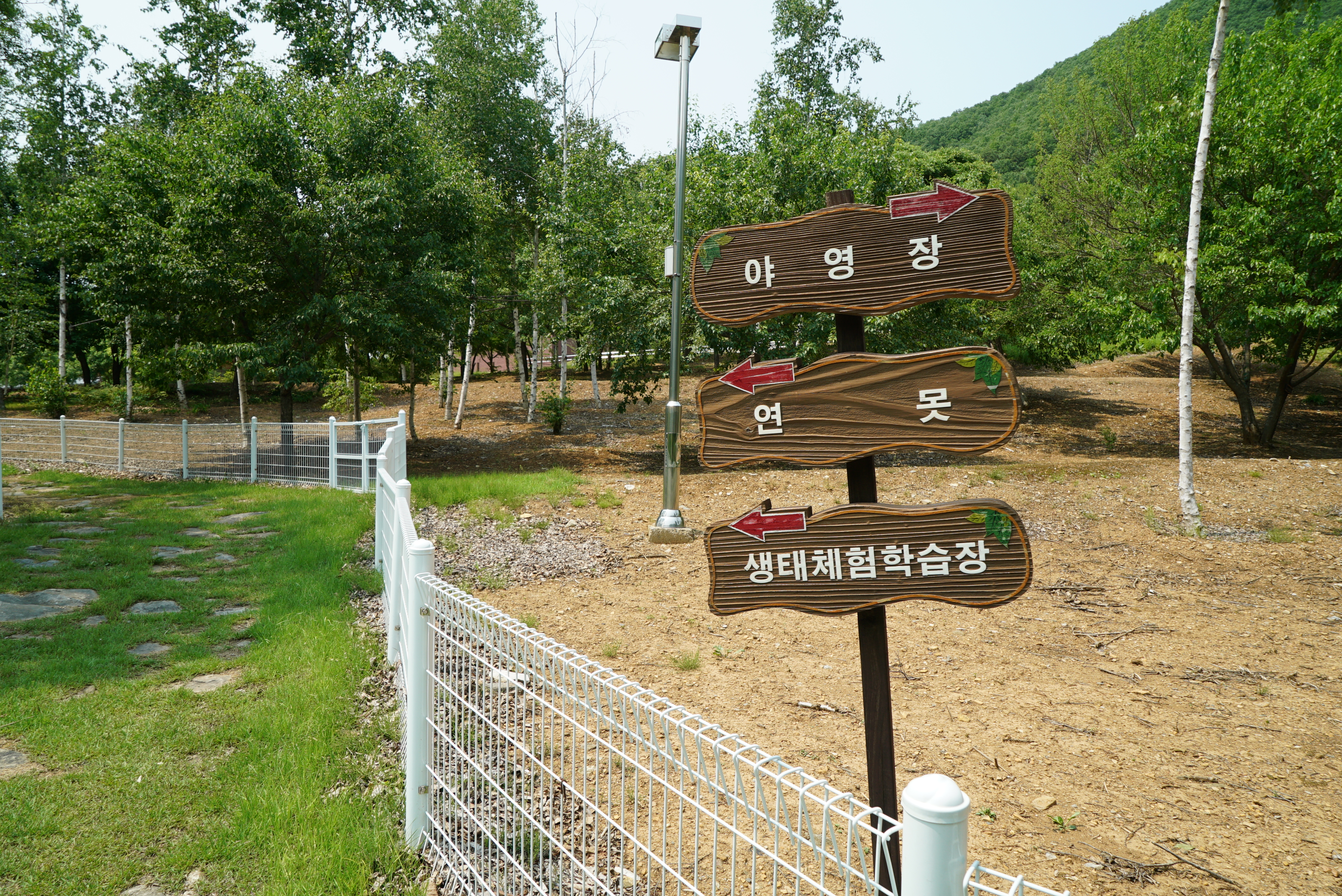 정선군생태체험학습장야영장 펫 동반 캠핑장 이미지