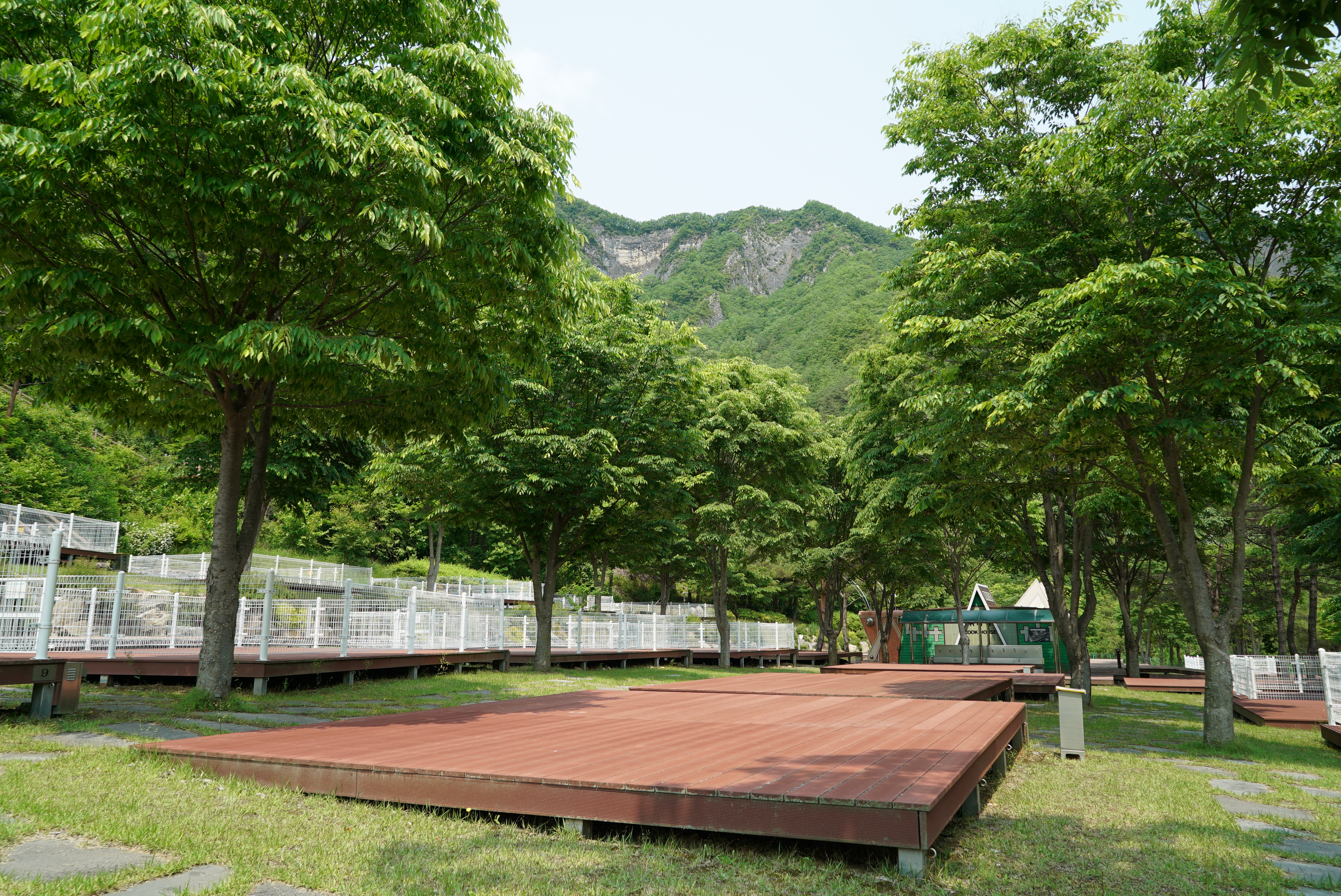 정선군생태체험학습장야영장 펫 동반 캠핑장 이미지