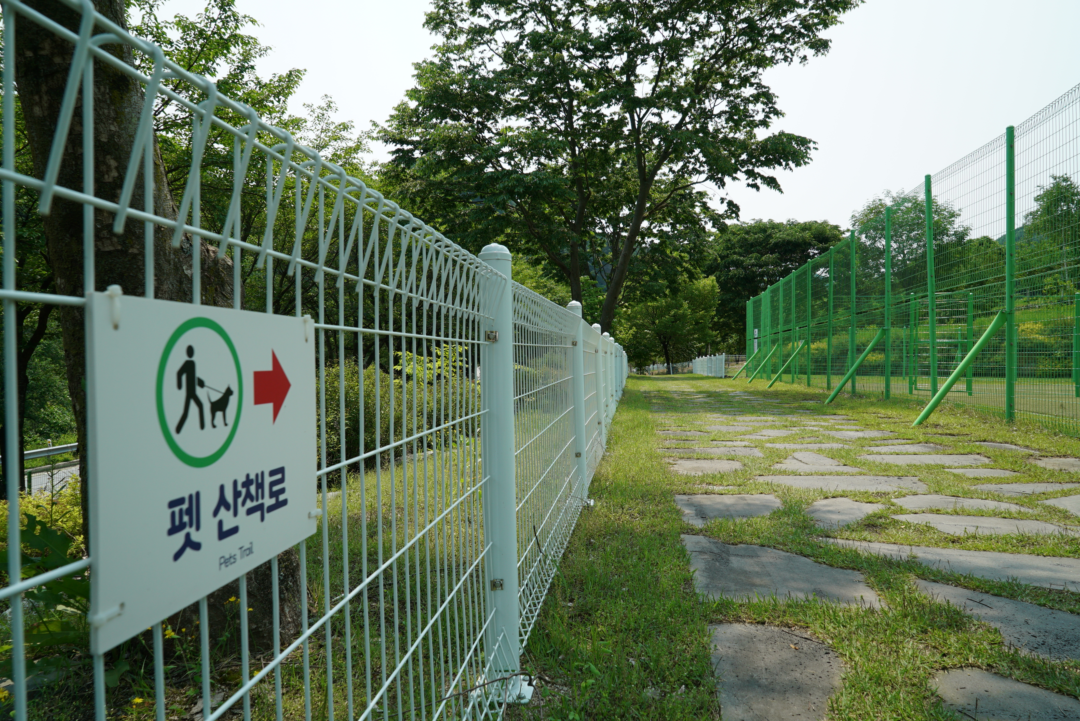 정선군생태체험학습장야영장 펫 동반 캠핑장 이미지