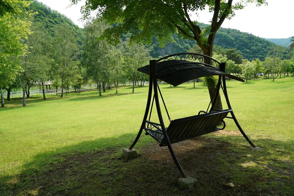 정선군생태체험학습장야영장 펫 동반 캠핑장