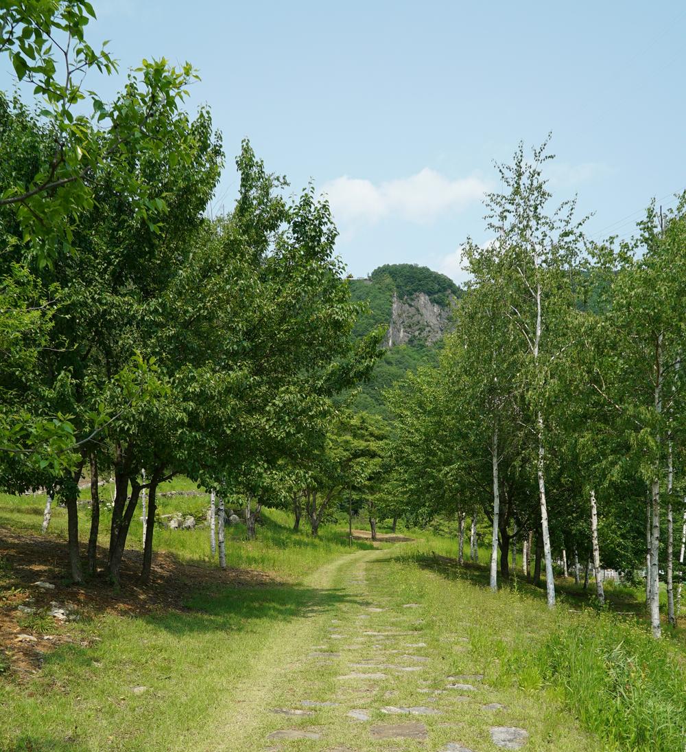 정선군생태체험학습장야영장 펫 동반 캠핑장
