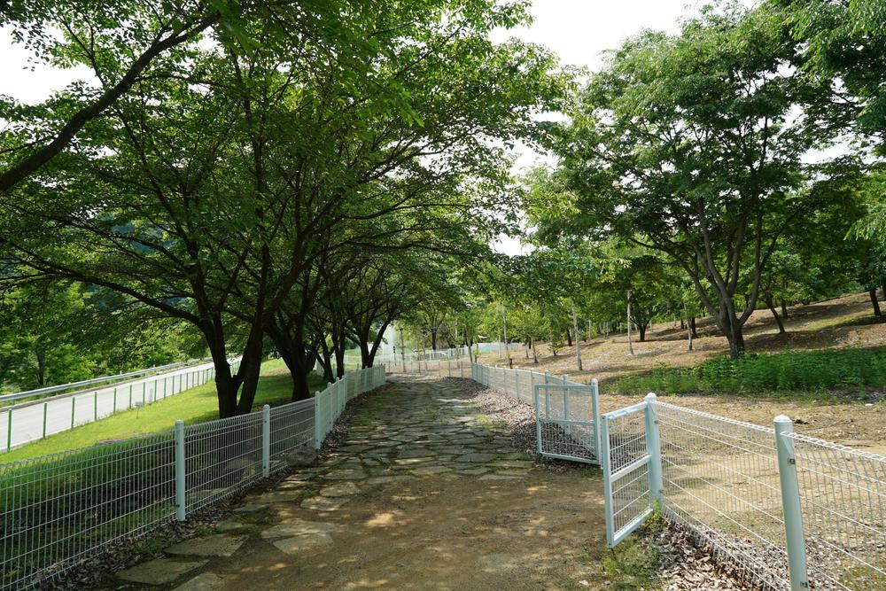 정선군생태체험학습장야영장 펫 동반 캠핑장