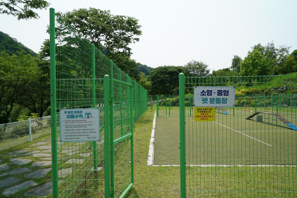 정선군생태체험학습장야영장 펫 동반 캠핑장