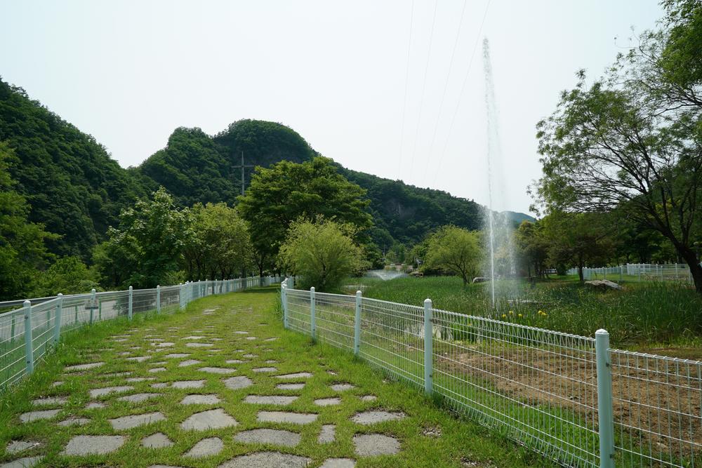 정선군생태체험학습장야영장 펫 동반 캠핑장